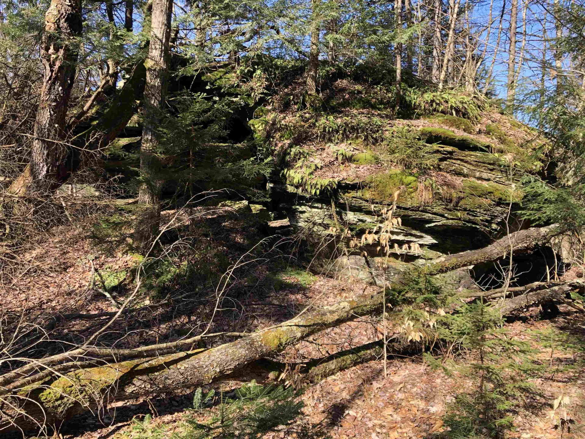 Tbd Florence Road Waterville VT 05492