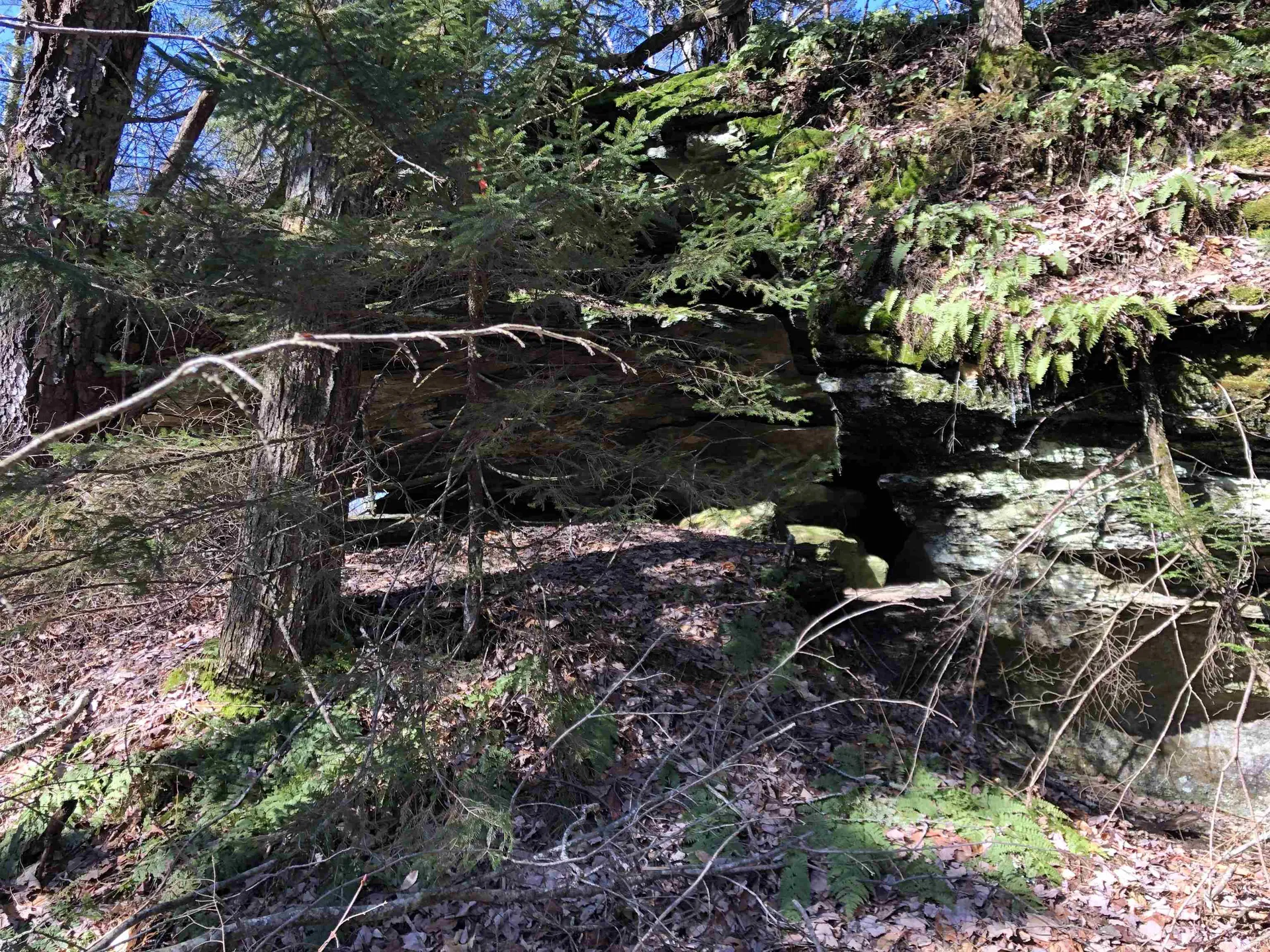 Tbd Florence Road Waterville VT 05492
