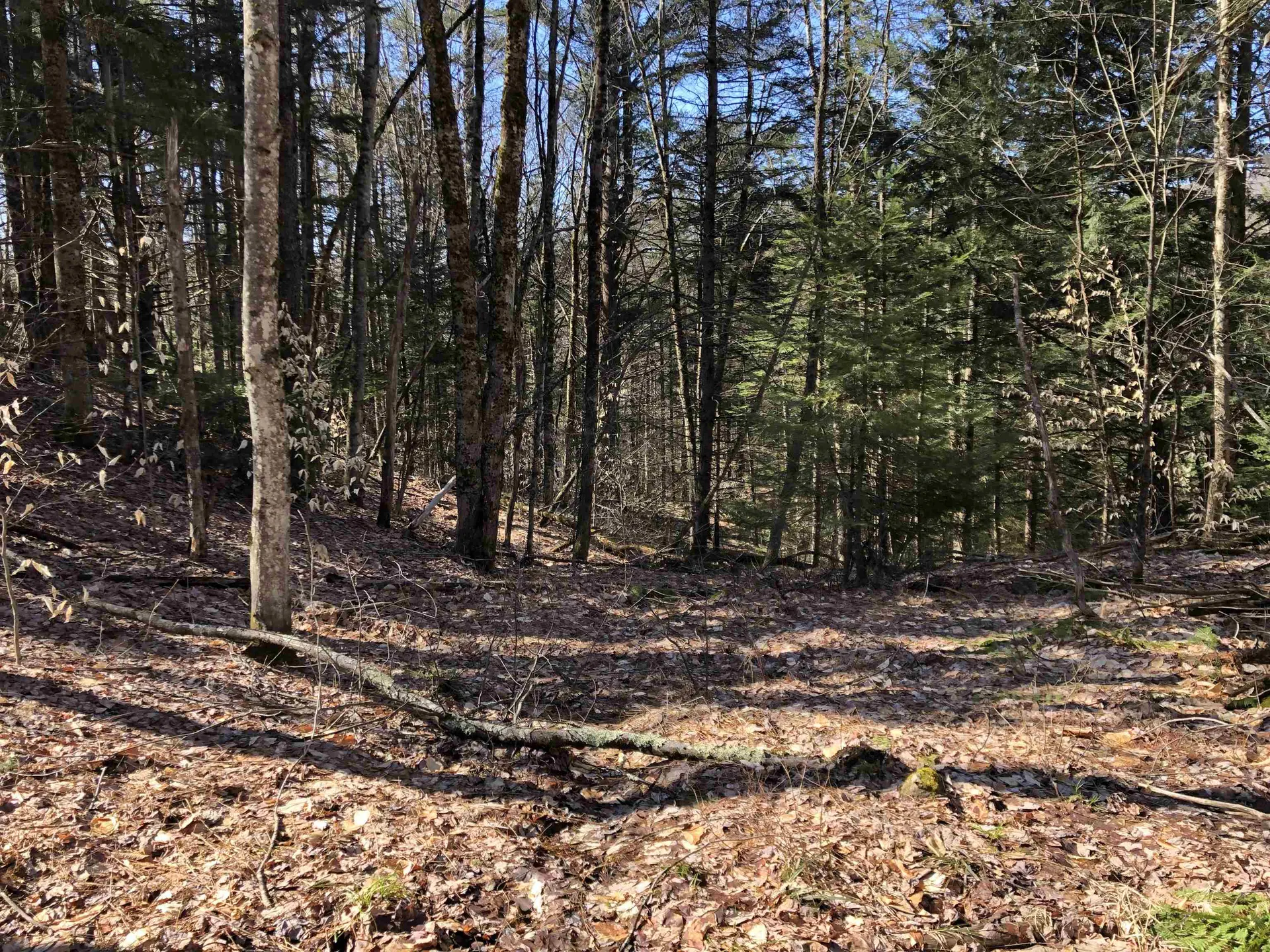 Tbd Florence Road Waterville VT 05492