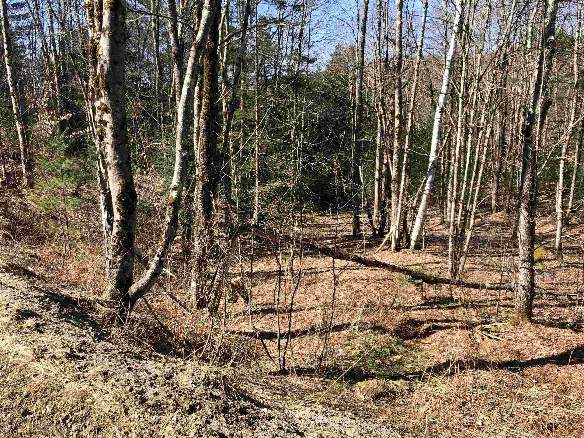 Tbd Florence Road Waterville VT 05492