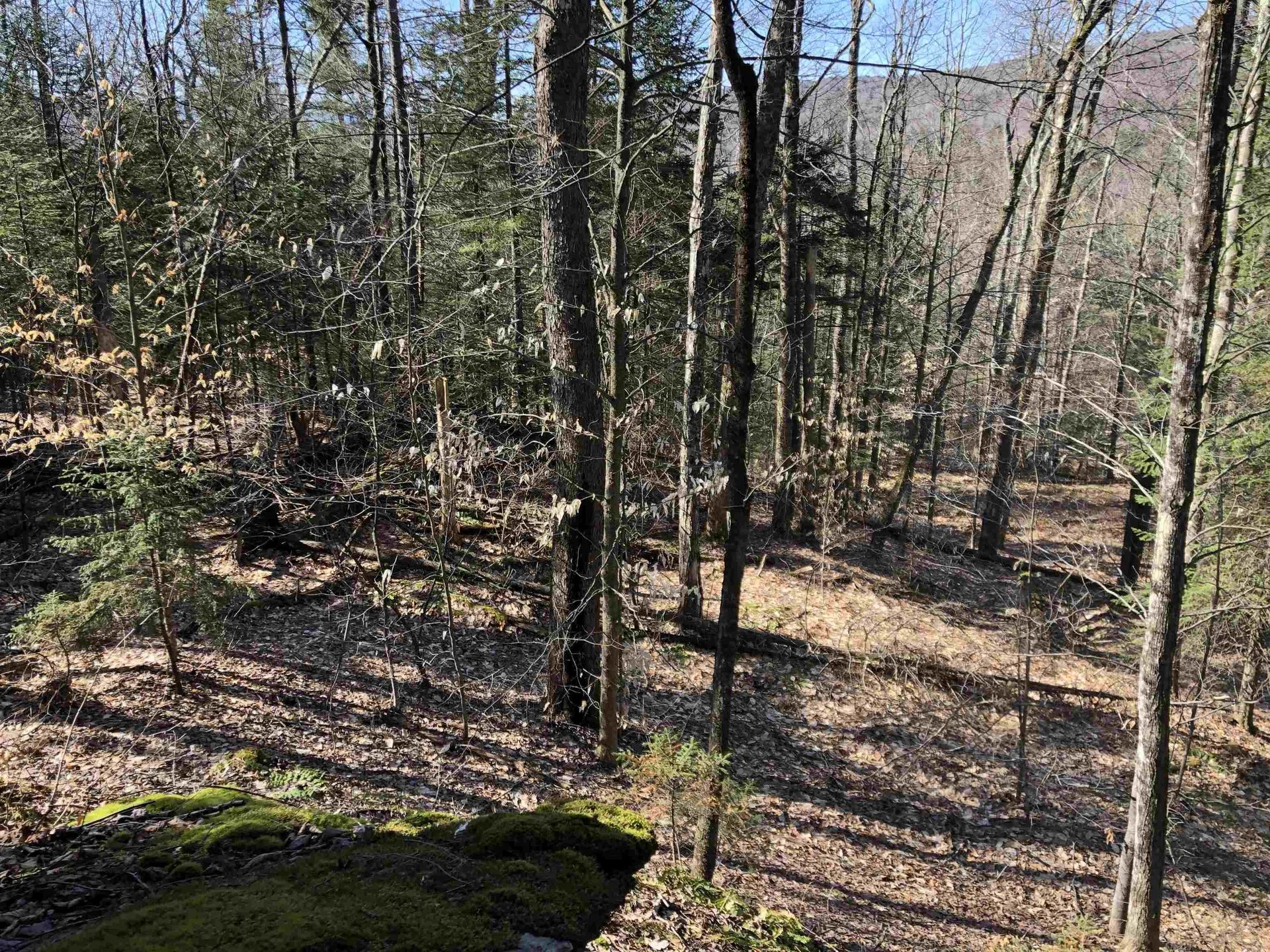 Tbd Florence Road Waterville VT 05492
