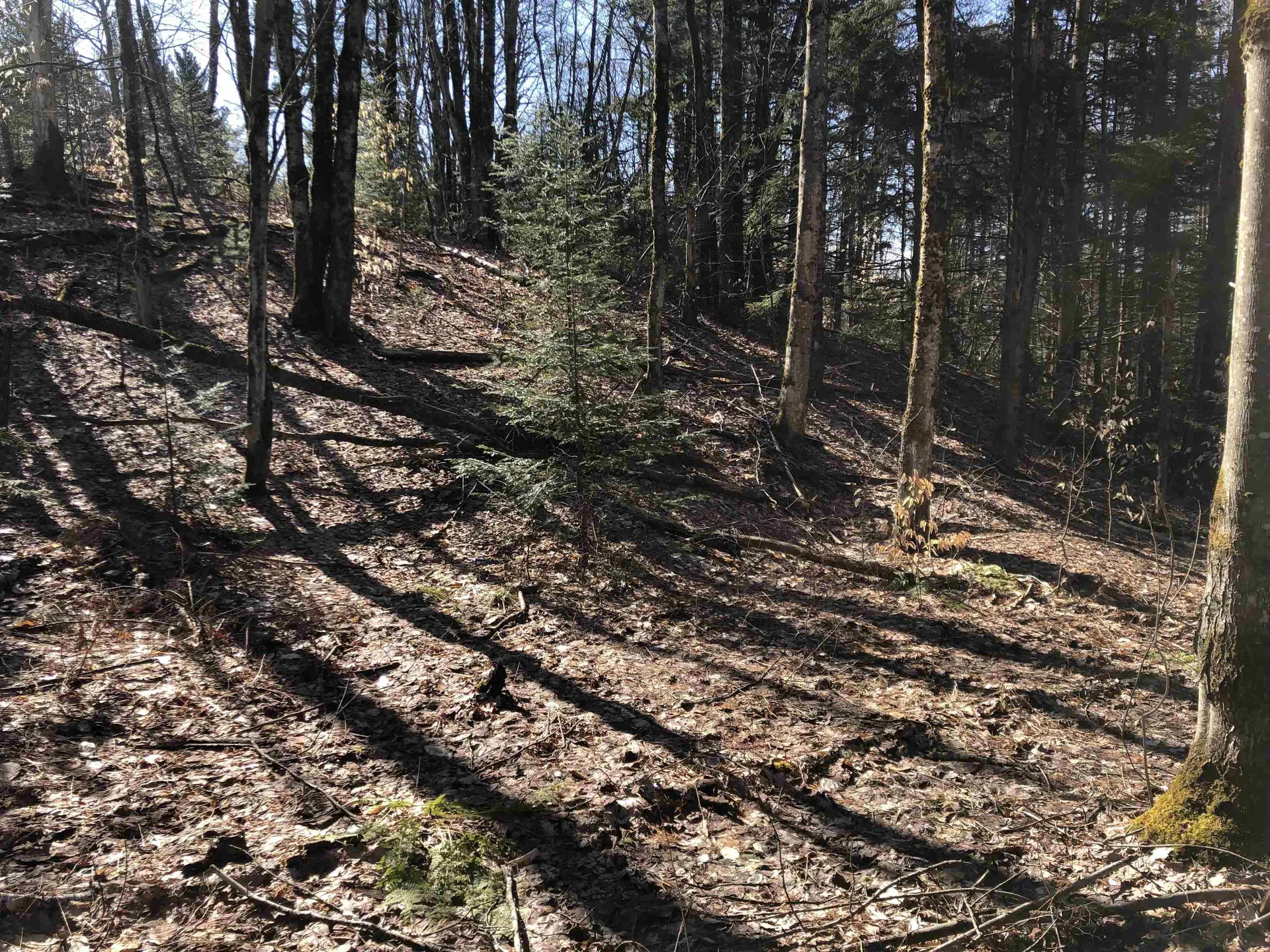 Tbd Florence Road Waterville VT 05492