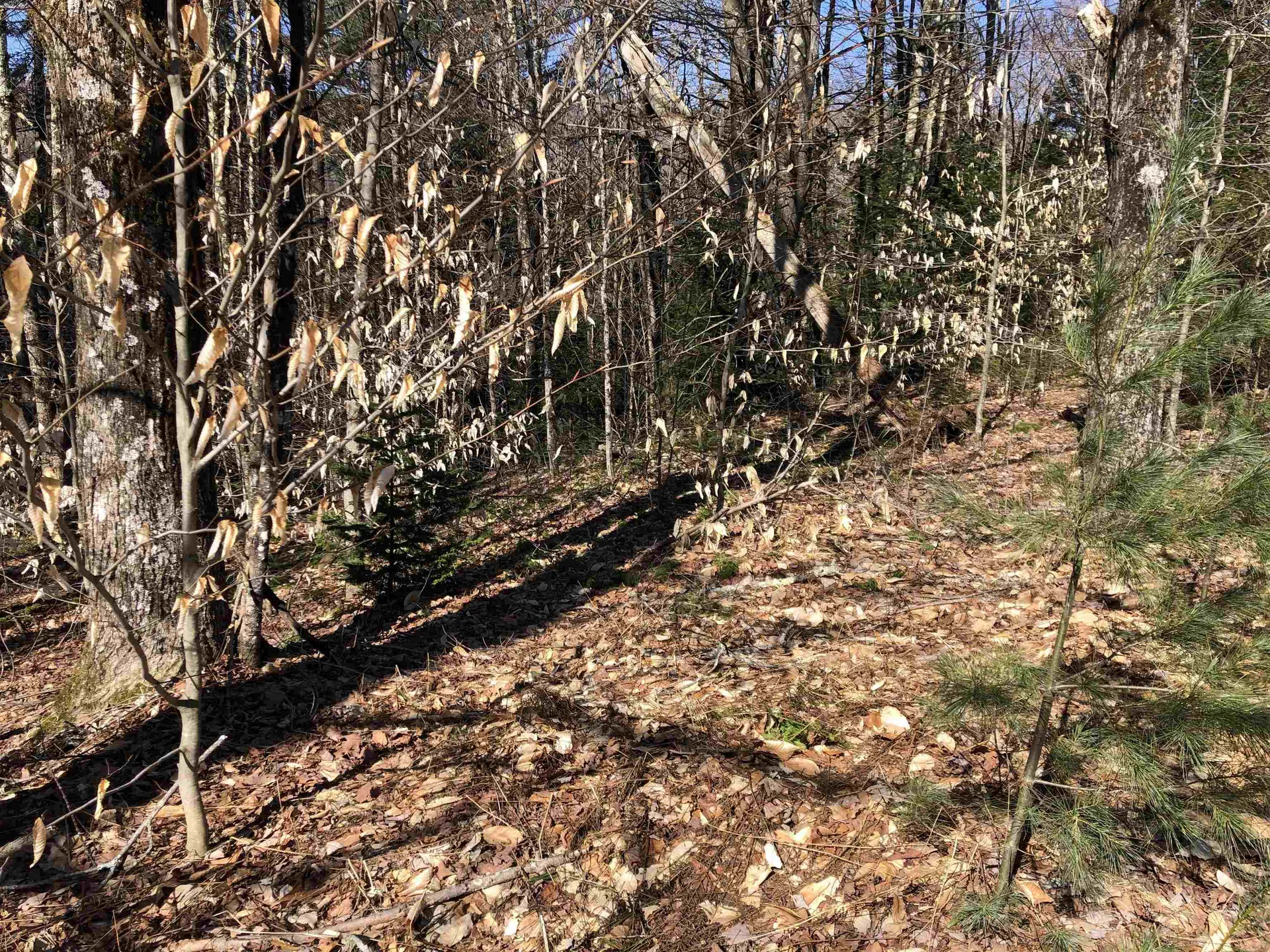 Tbd Florence Road Waterville VT 05492
