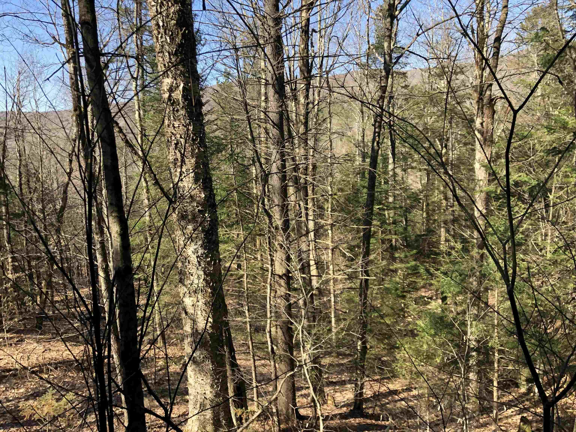 Tbd Florence Road Waterville VT 05492