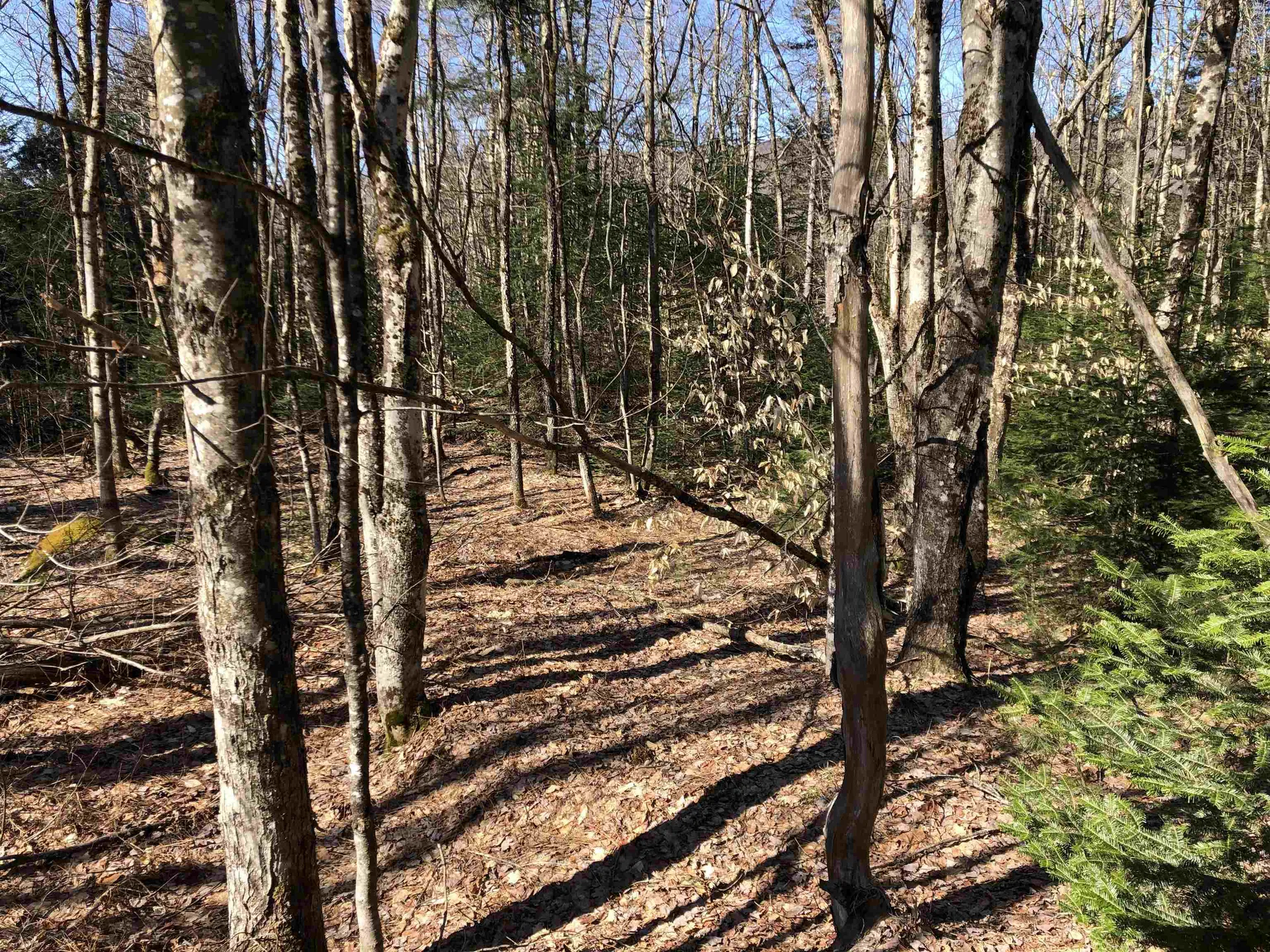 Tbd Florence Road Waterville VT 05492