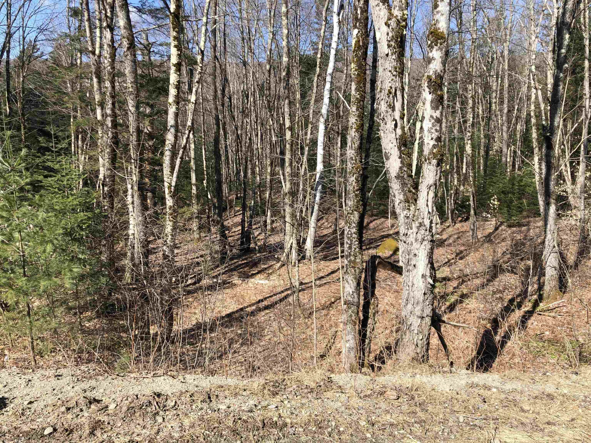 Tbd Florence Road Waterville VT 05492