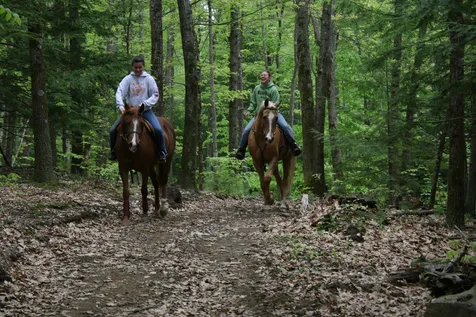 8 Freeman Street East Kingston NH 03827