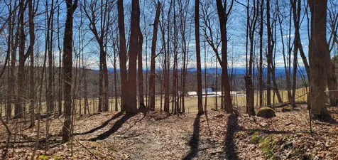 566 Cary Pond Road Danville VT 05828