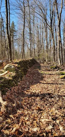 566 Cary Pond Road Danville VT 05828