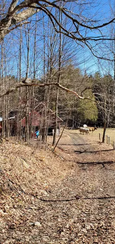 566 Cary Pond Road Danville VT 05828