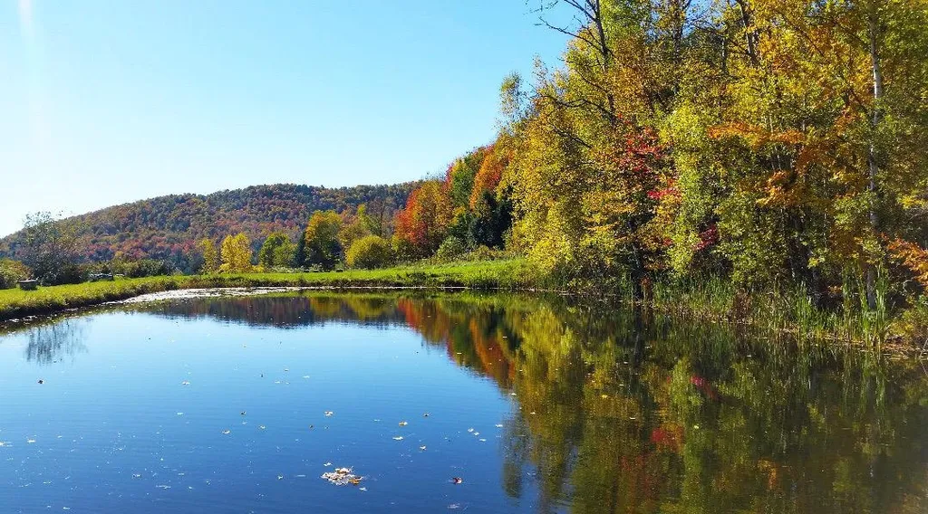 708 Gilead Brook Road Bethel VT 05060
