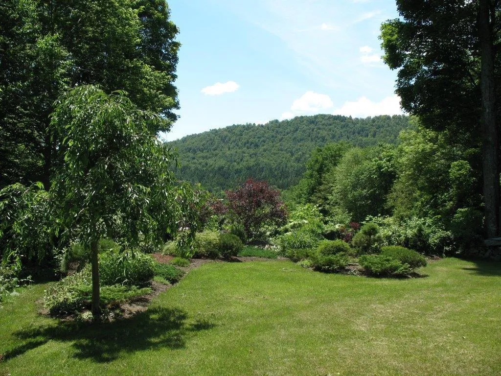 708 Gilead Brook Road Bethel VT 05060