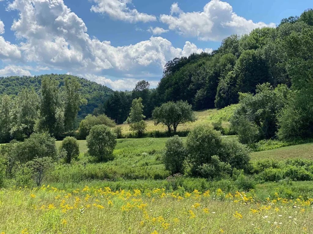 708 Gilead Brook Road Bethel VT 05060