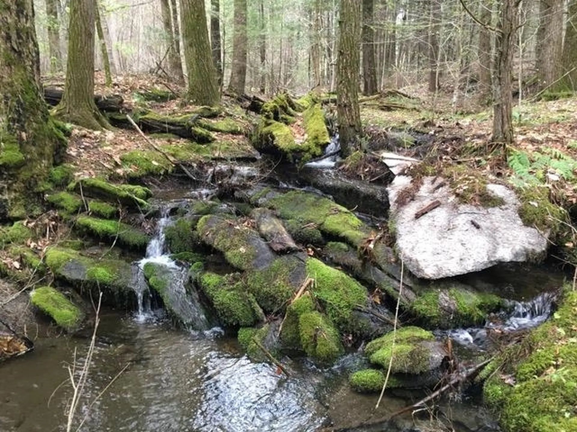 1226 Langdon Road Charlestown NH 03603