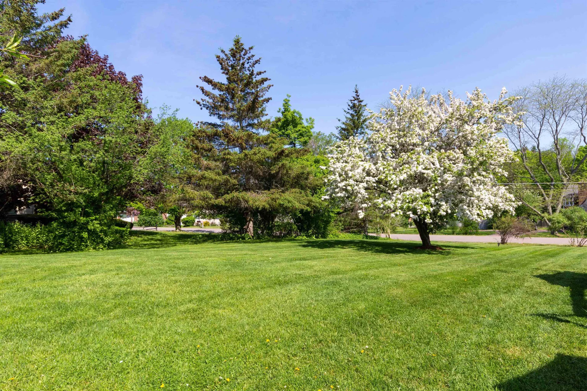 29 Morse Drive Shelburne VT 05482