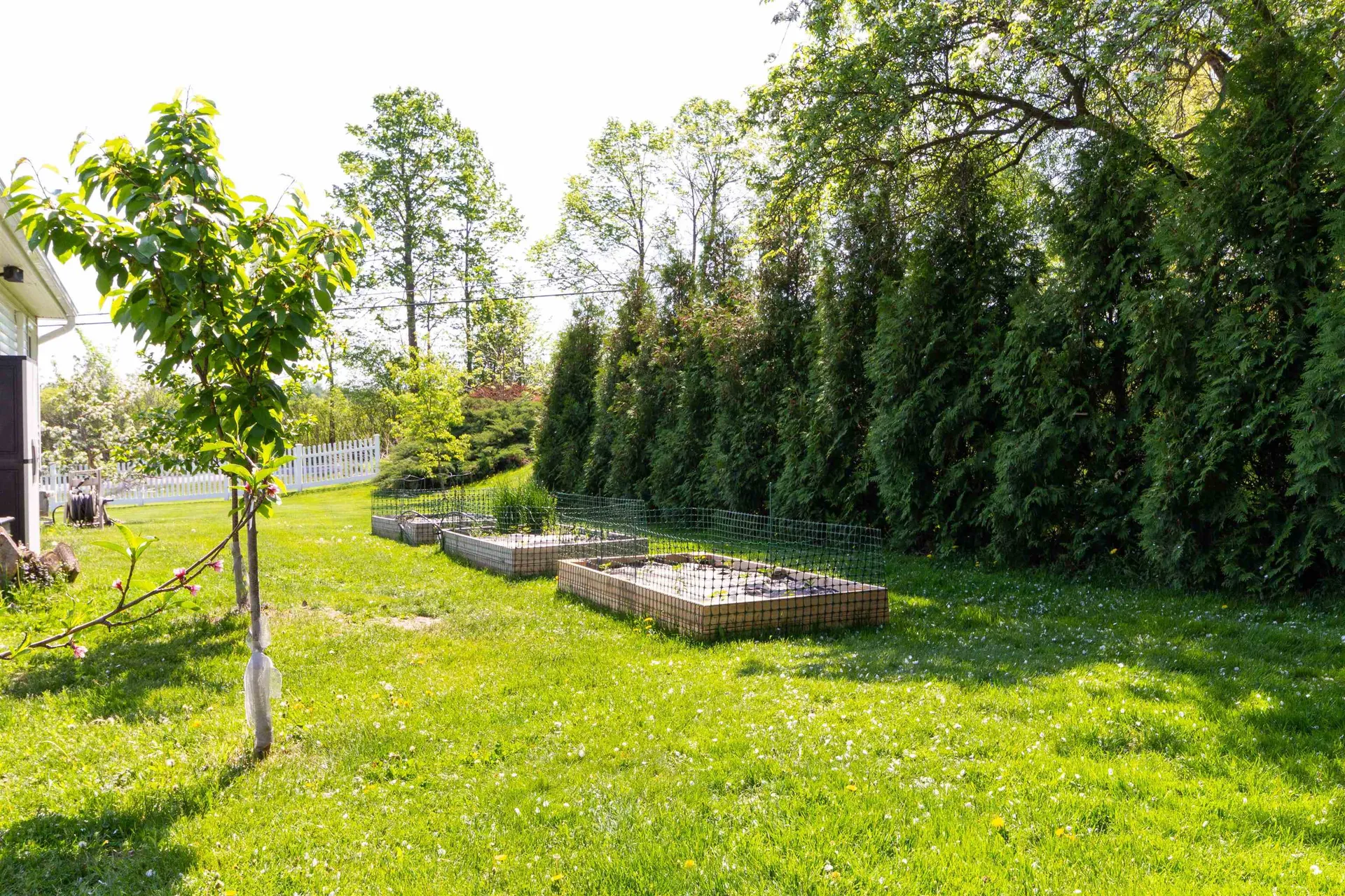 29 Morse Drive Shelburne VT 05482