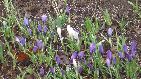 123 Turtle Pond Road Lee NH 03861