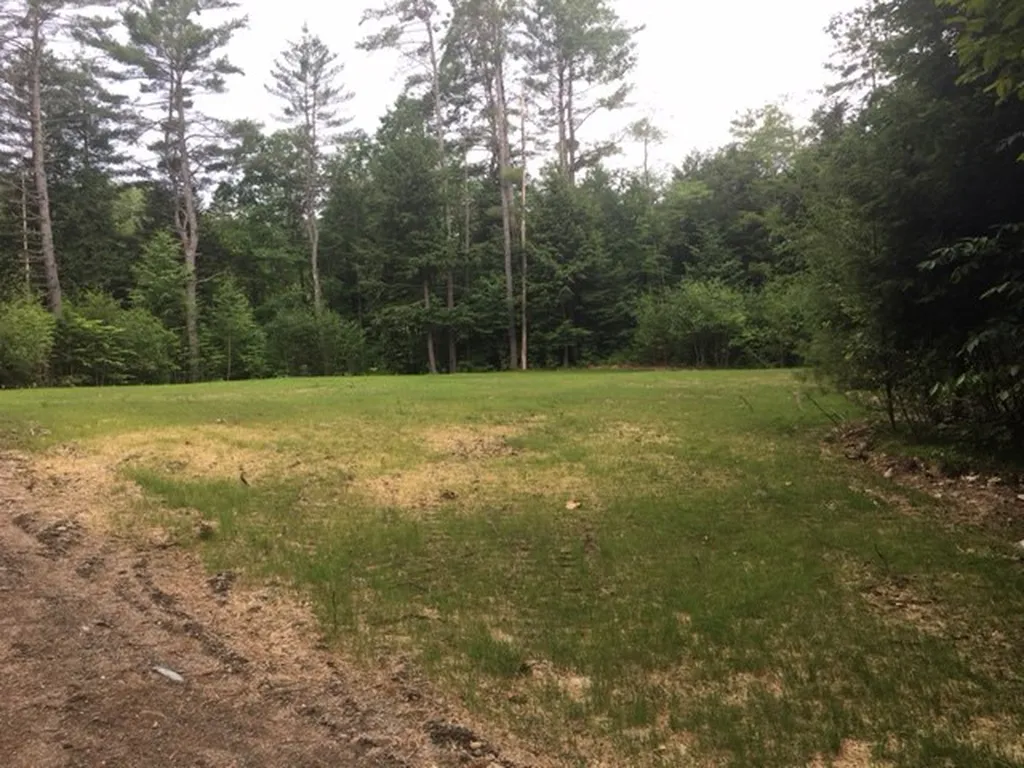 00` Willow Brook Road Plainfield NH 03781