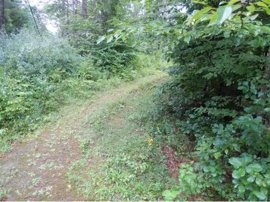 00` Willow Brook Road Plainfield NH 03781