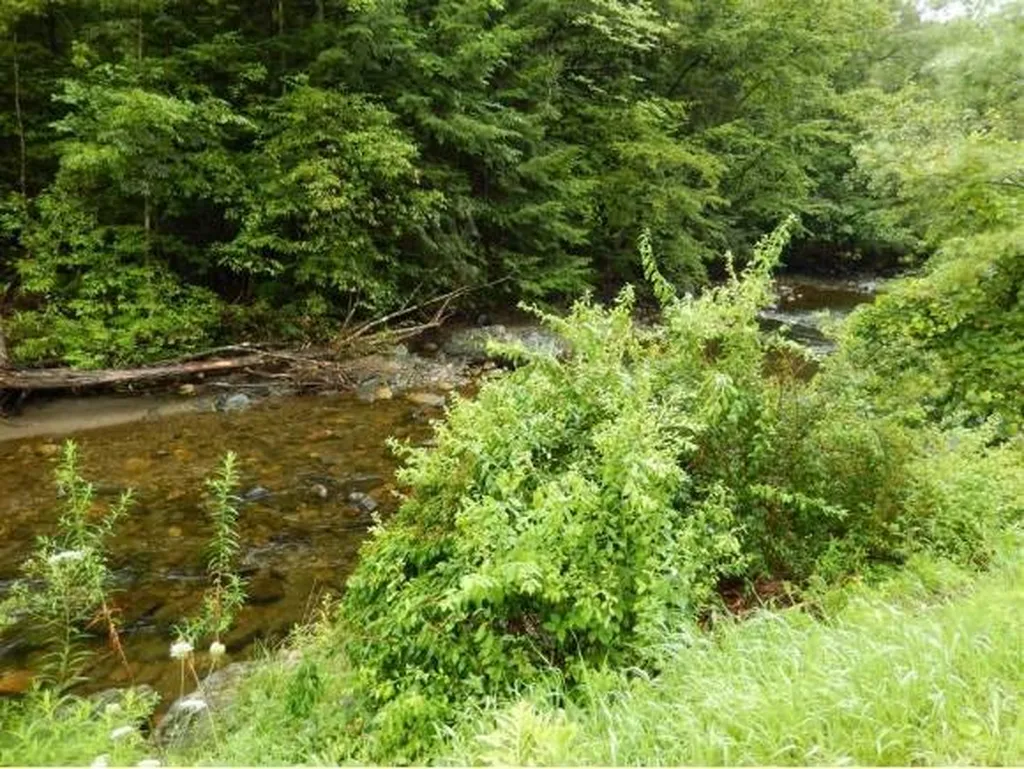 00` Willow Brook Road Plainfield NH 03781