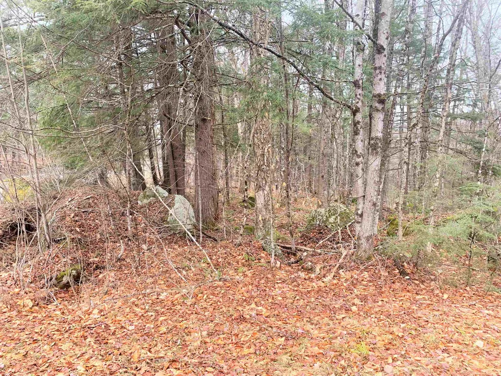 3 Bear Drive Enfield NH 03748