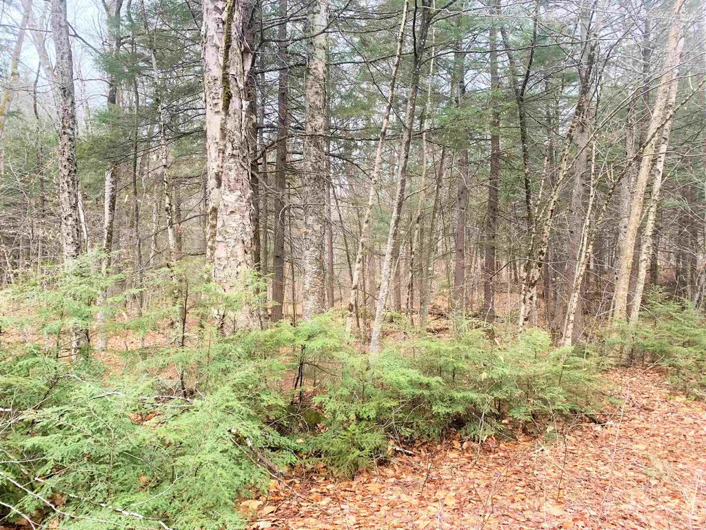3 Bear Drive Enfield NH 03748