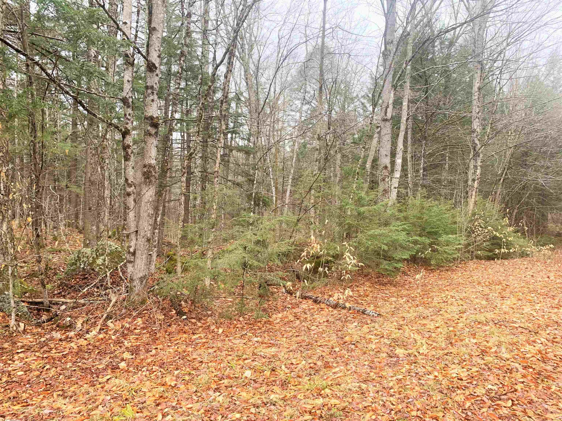 3 Bear Drive Enfield NH 03748