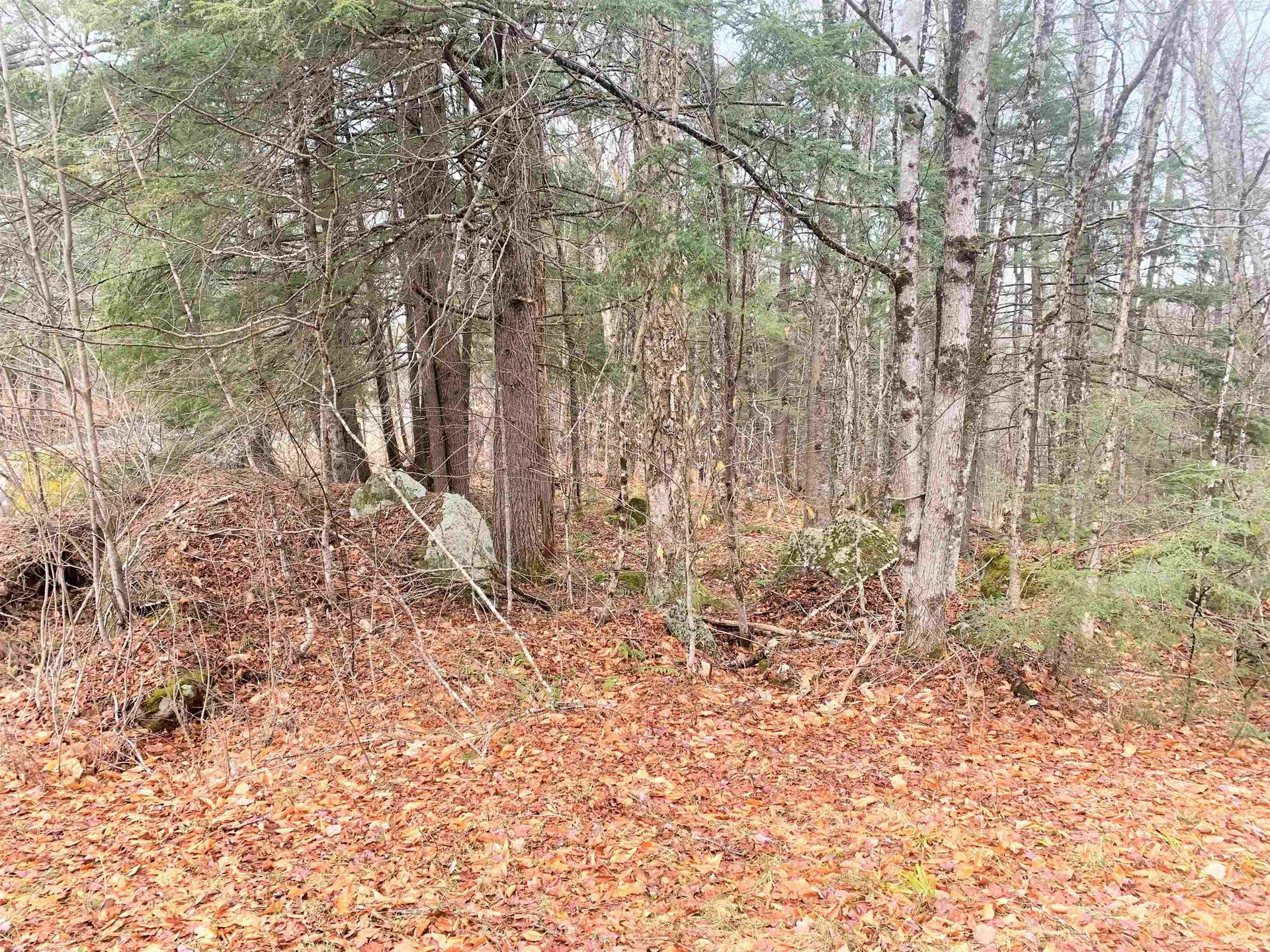 3 Bear Drive Enfield NH 03748