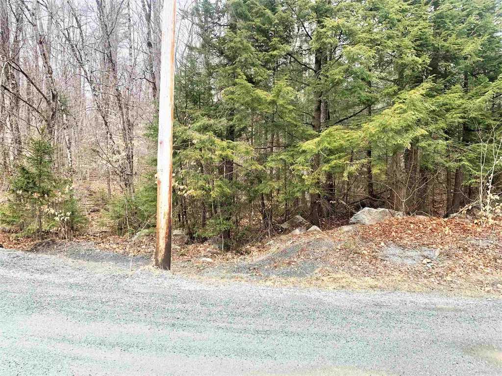 11 Hickory Overlook Enfield NH 03748