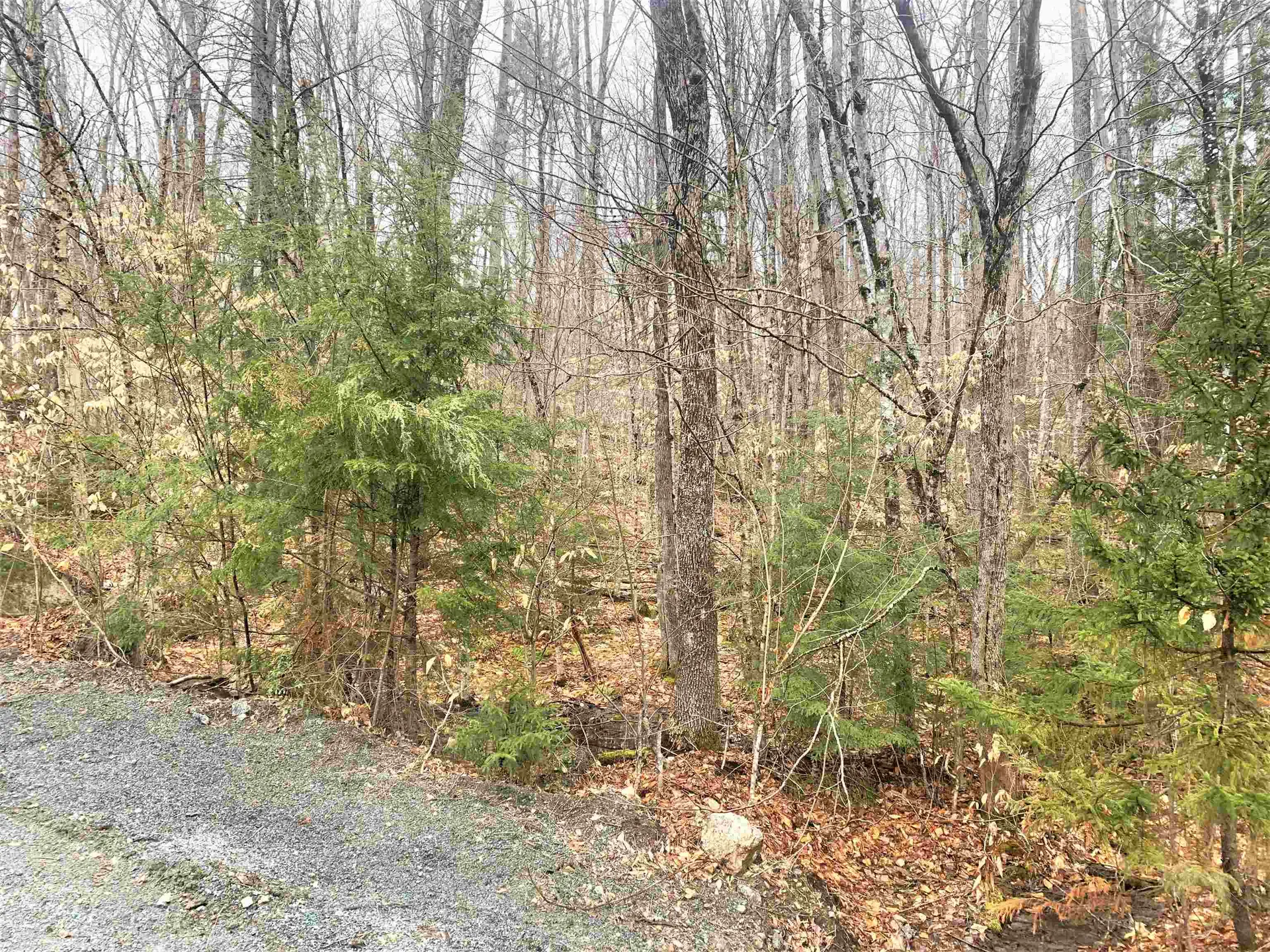 11 Hickory Overlook Enfield NH 03748