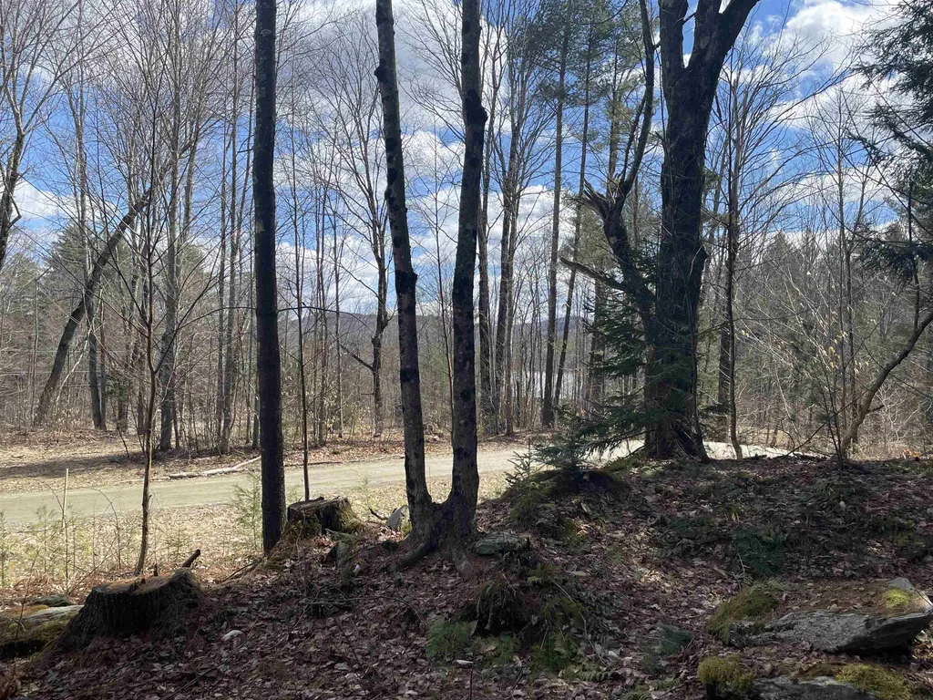 0 Hastings Road Waitsfield VT 05673