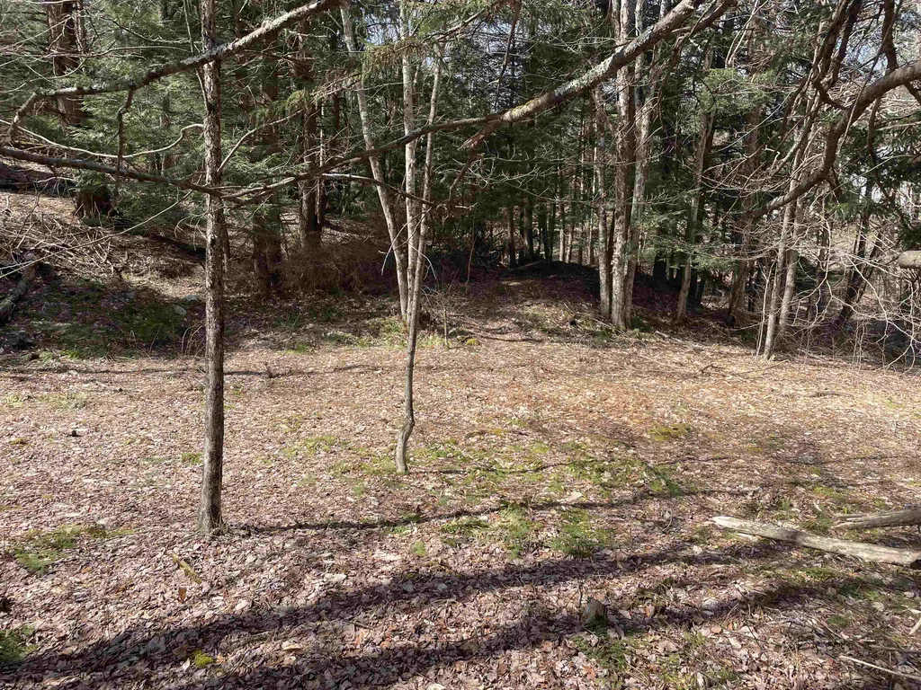 0 Hastings Road Waitsfield VT 05673