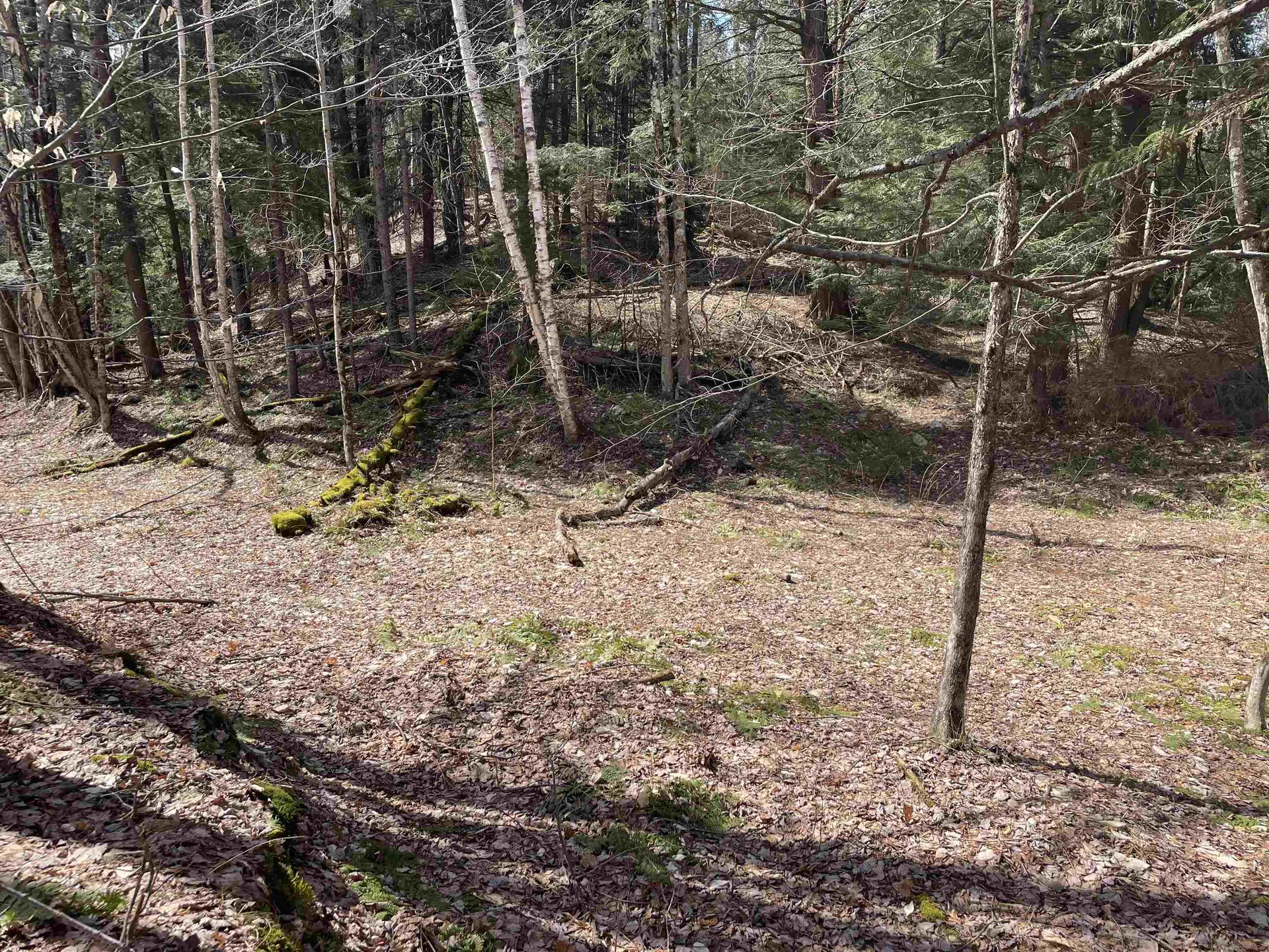 0 Hastings Road Waitsfield VT 05673