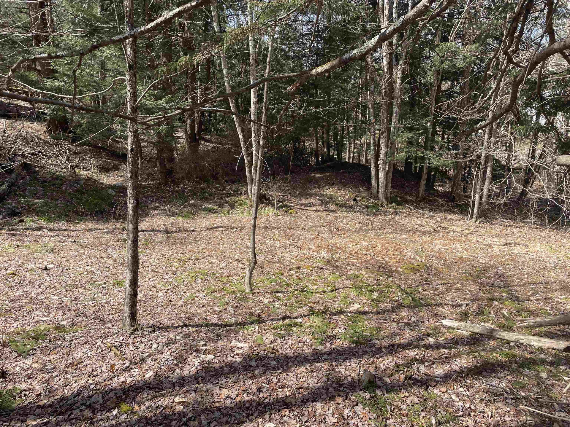 0 Hastings Road Waitsfield VT 05673
