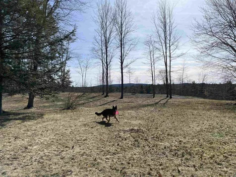 440 Pine River Road Effingham NH 03882