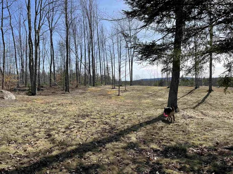 440 Pine River Road Effingham NH 03882