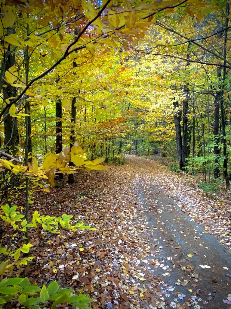 28 Crystal Path Hartland VT 05048