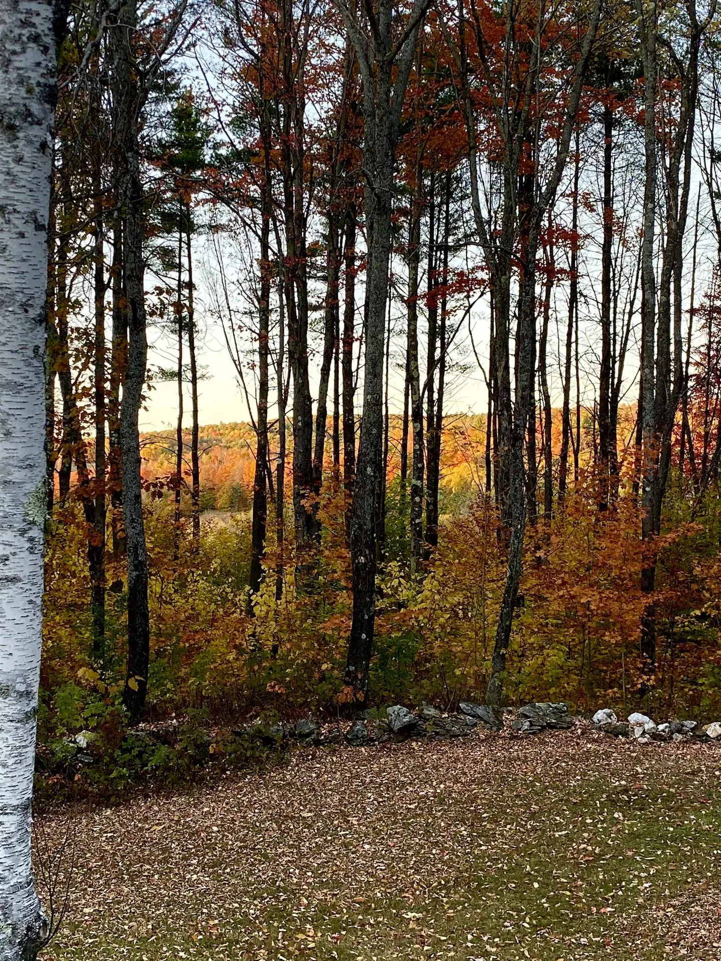 28 Crystal Path Hartland VT 05048