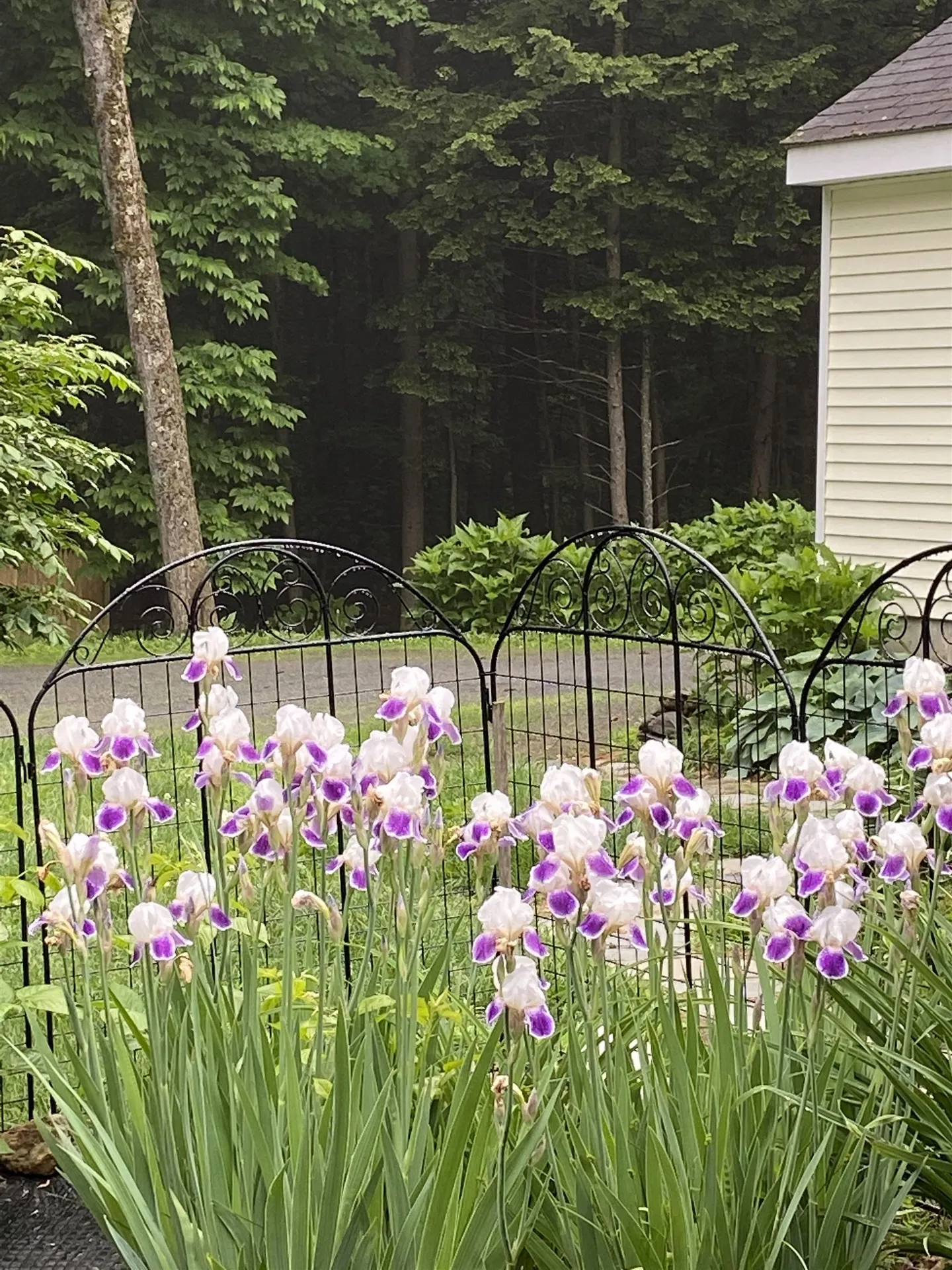 28 Crystal Path Hartland VT 05048
