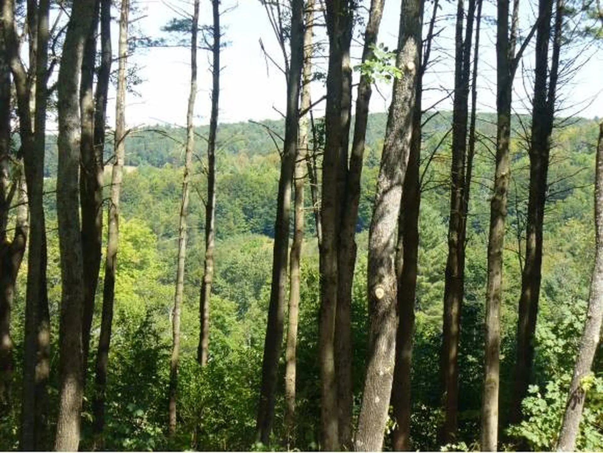 28 Crystal Path Hartland VT 05048