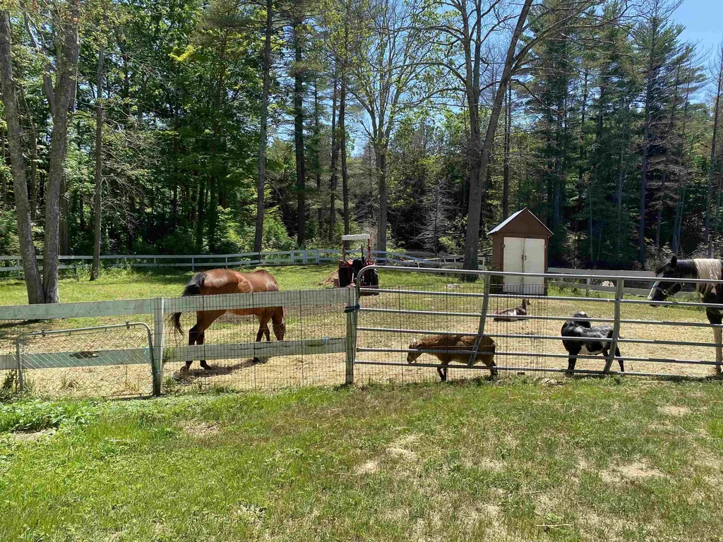6 Cote Drive Danville NH 03819