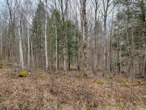 Lot 32 Beechwood Lane Franconia NH 03580
