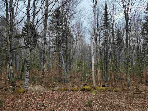Lot 32 Beechwood Lane Franconia NH 03580
