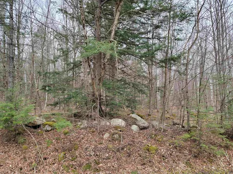 Lot 32 Beechwood Lane Franconia NH 03580