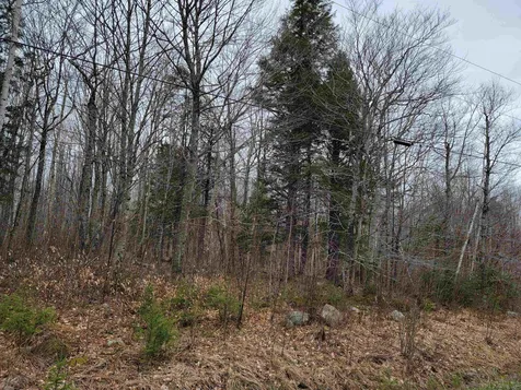 Lot 32 Beechwood Lane Franconia NH 03580