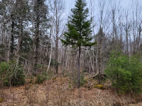 Lot 32 Beechwood Lane Franconia NH 03580