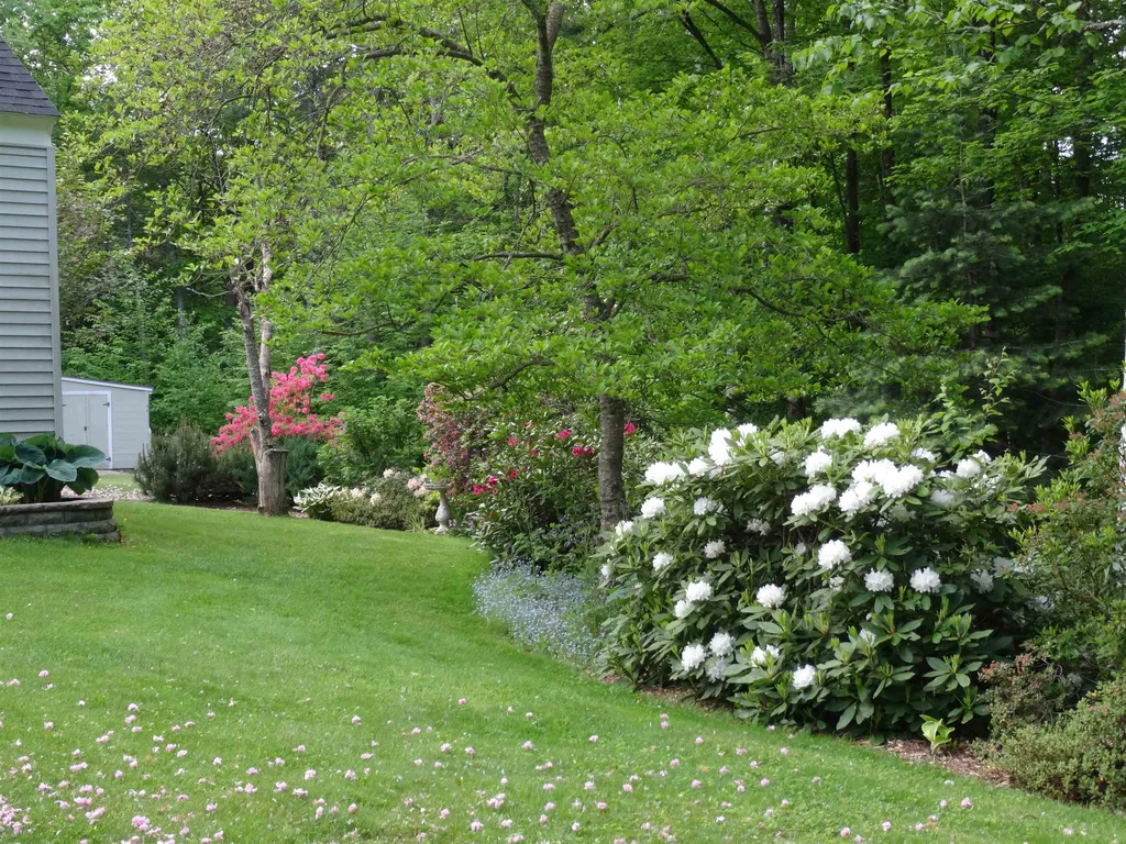 47 Park Place Milton NH 03851