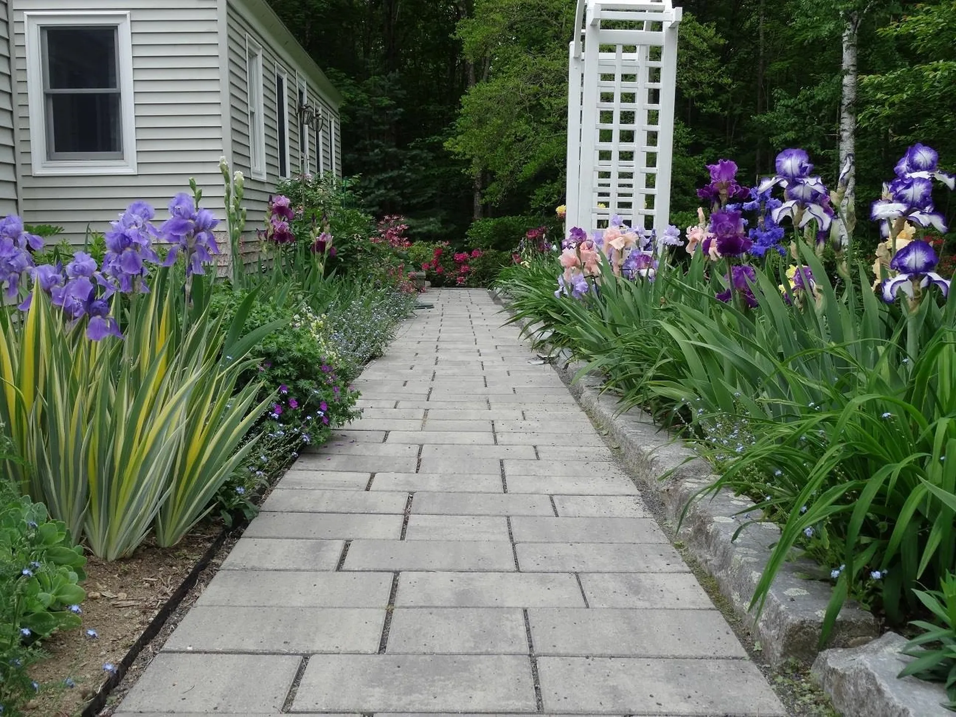 47 Park Place Milton NH 03851