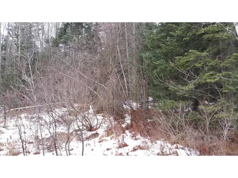 Lot 17 Deer Run Road Bethlehem NH 03574
