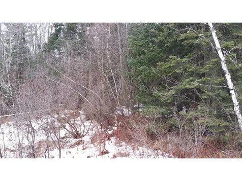 Lot 17 Deer Run Road Bethlehem NH 03574